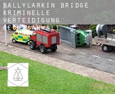 Ballylarkin Bridge  kriminelle verteidigung rechtsanwalt