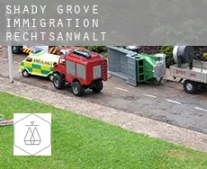 Shady Grove  immigration rechtsanwalt