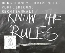 Dungourney  kriminelle verteidigung rechtsanwalt