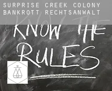 Surprise Creek Colony bankrott rechtsanwalt