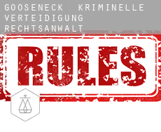 Gooseneck  kriminelle verteidigung rechtsanwalt
