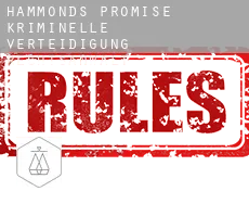Hammonds Promise  kriminelle verteidigung rechtsanwalt