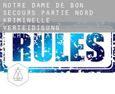Notre-Dame-de-Bon-Secours-Partie-Nord  kriminelle verteidigung rechtsanwalt