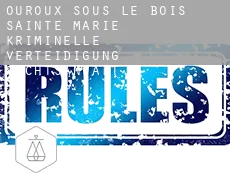 Ouroux-sous-le-Bois-Sainte-Marie  kriminelle verteidigung rechtsanwalt