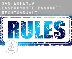 Sant'Eufemia d'Aspromonte  bankrott rechtsanwalt