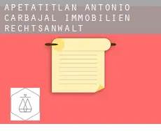 Apetatitlán Antonio Carbajal  immobilien rechtsanwalt