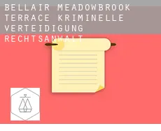 Bellair-Meadowbrook Terrace  kriminelle verteidigung rechtsanwalt