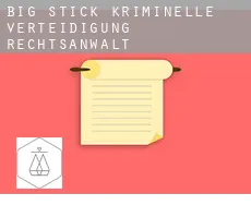 Big Stick  kriminelle verteidigung rechtsanwalt