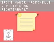 Brice Manor  kriminelle verteidigung rechtsanwalt