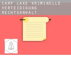 Carp Lake  kriminelle verteidigung rechtsanwalt