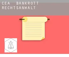 Cea  bankrott rechtsanwalt
