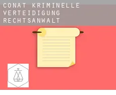 Conat  kriminelle verteidigung rechtsanwalt