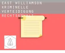 East Williamson  kriminelle verteidigung rechtsanwalt