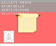 Gillett Grove  kriminelle verteidigung rechtsanwalt
