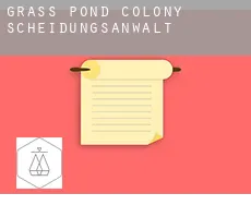 Grass Pond Colony Scheidungsanwalt