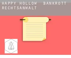 Happy Hollow bankrott rechtsanwalt