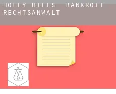 Holly Hills  bankrott rechtsanwalt