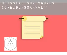 Huisseau-sur-Mauves  Scheidungsanwalt
