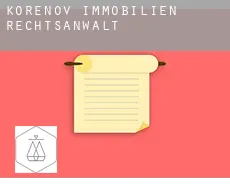 Kořenov  immobilien rechtsanwalt