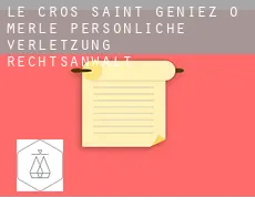 Le Cros, Saint-Geniez-Ô-Merle  persönliche verletzung rechtsanwalt