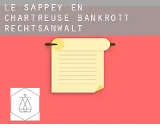 Le Sappey-en-Chartreuse  bankrott rechtsanwalt