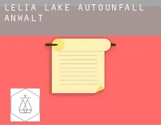 Lelia Lake  Autounfall Anwalt