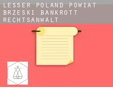 Powiat brzeski (Lesser Poland Voivodeship) bankrott rechtsanwalt
