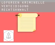 Lofgreen  kriminelle verteidigung rechtsanwalt