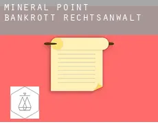 Mineral Point  bankrott rechtsanwalt
