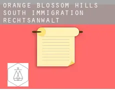 Orange Blossom Hills South  immigration rechtsanwalt