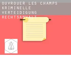 Ouvrouer-les-Champs  kriminelle verteidigung rechtsanwalt