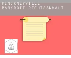 Pinckneyville  bankrott rechtsanwalt
