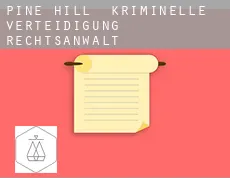 Pine Hill  kriminelle verteidigung rechtsanwalt