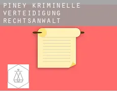 Piney  kriminelle verteidigung rechtsanwalt