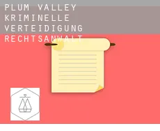 Plum Valley  kriminelle verteidigung rechtsanwalt