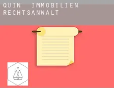 Quin immobilien rechtsanwalt