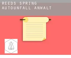 Reeds Spring Autounfall Anwalt