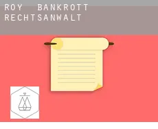 Roy  bankrott rechtsanwalt