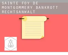 Sainte-Foy-de-Montgommery bankrott rechtsanwalt