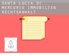 Santa-Lucia-di-Mercurio immobilien rechtsanwalt