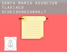 Santa María Asunción Tlaxiaco  Scheidungsanwalt