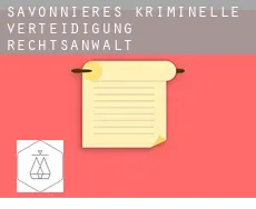 Savonnières  kriminelle verteidigung rechtsanwalt