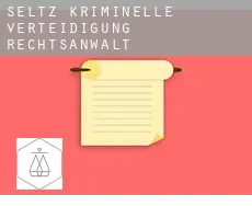 Seltz  kriminelle verteidigung rechtsanwalt