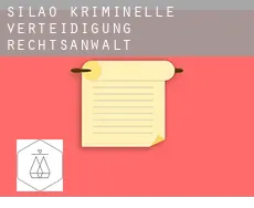 Silao  kriminelle verteidigung rechtsanwalt