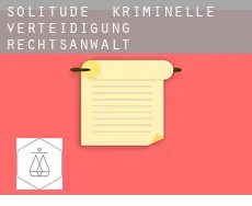 Solitude  kriminelle verteidigung rechtsanwalt