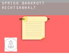 Sprigg  bankrott rechtsanwalt