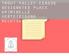 Trout Valley  kriminelle verteidigung rechtsanwalt
