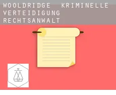 Wooldridge  kriminelle verteidigung rechtsanwalt