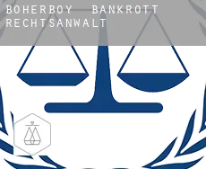 Boherboy  bankrott rechtsanwalt