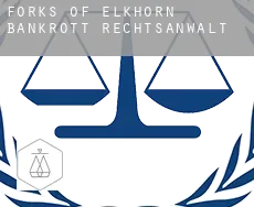 Forks of Elkhorn  bankrott rechtsanwalt